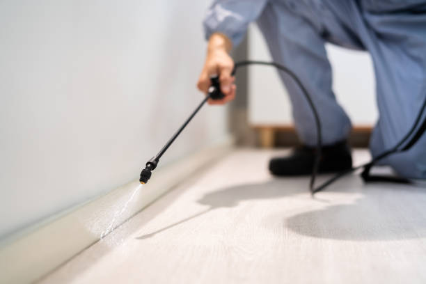 Bed Bug Pre-Treatment Preparation Assessment in McLouth