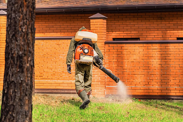 Bed Bug Clearance Verification and Documentation in McLouth